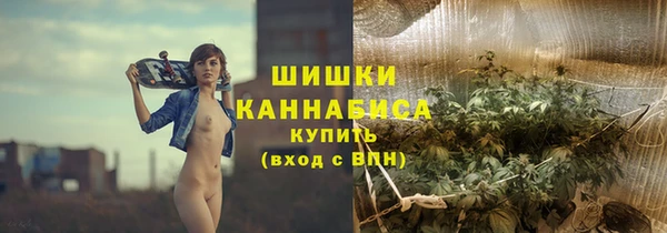 Альфа ПВП Нея