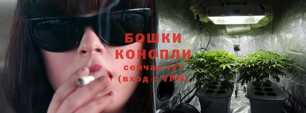 Альфа ПВП Нея