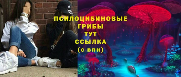 шишки Нефтекумск