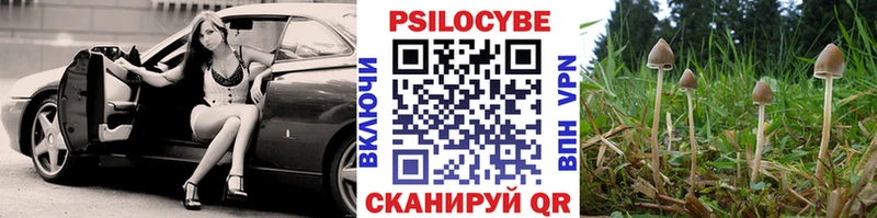 Псилоцибиновые грибы прущие грибы  маркетплейс клад  Слободской 