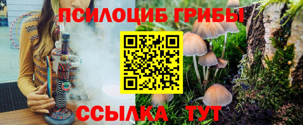 купить   Вход с VPN  Слободской  Галлюциногенные грибы мухоморы 